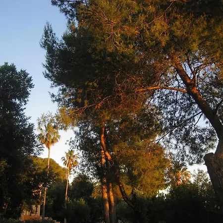 Aparthotel Arditi
